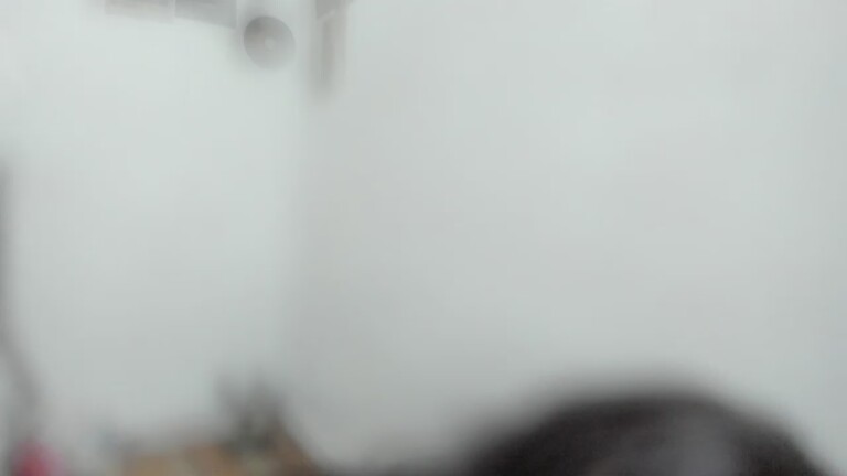 Kaorii_Lee's Streamate show and profile